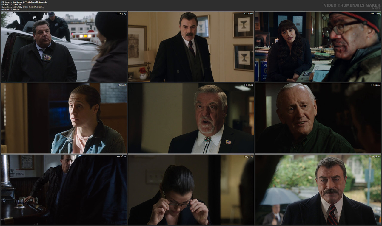 Blue Bloods S07E10 Unbearable Loss.mkv