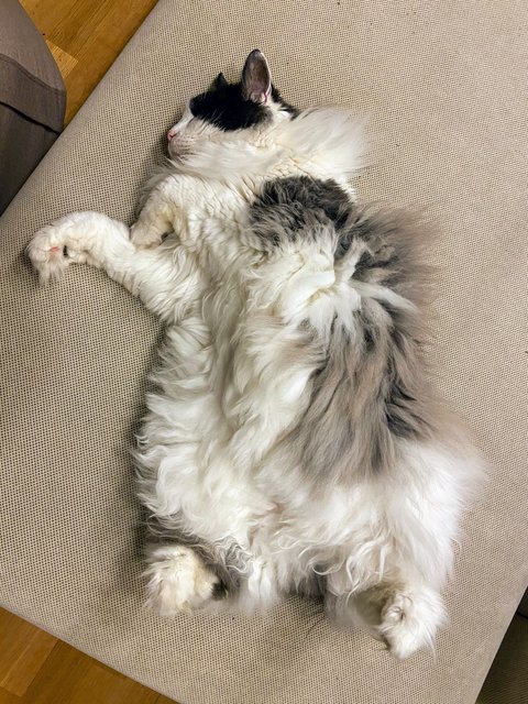 692-F2519-D894-4-EB3-A4-F8-98-EB26-A74-A