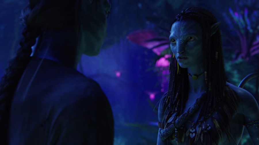 Avatar 2009 BluRay [Hindi + Tamil + Telugu + English] 1080p 480p 720p HEVC ESub Screenshot