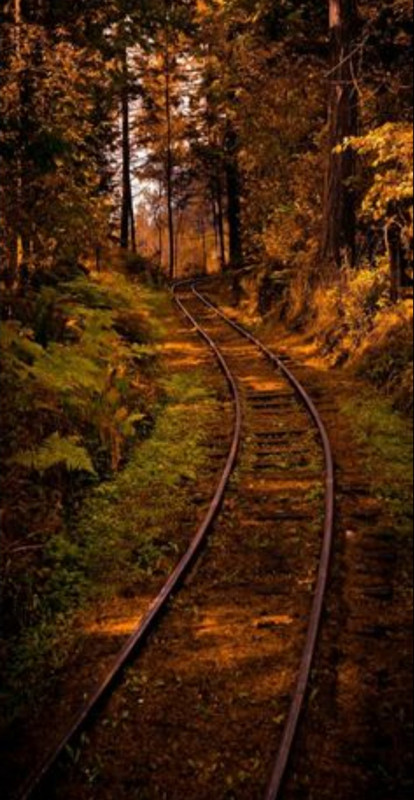 Screenshot_20221201-193159_Chrome