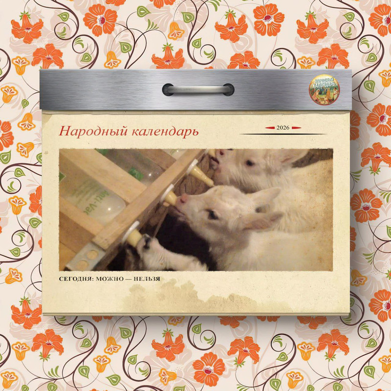 [Изображение: photo-2026-02-15-09-22-54.jpg]