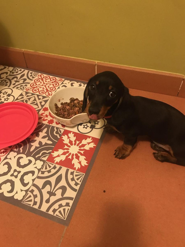 [Image: IMG-3419-1.jpg]