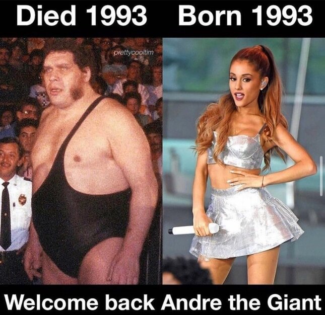 [Image: Andre.jpg]