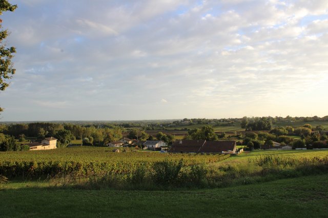 Gironde, esa gran desconocida - Blogs de Francia - Margen derecho y vuelta (9)