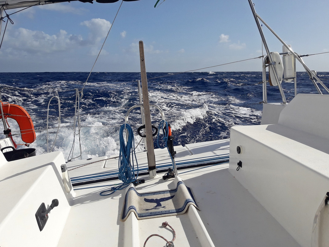 [Imagen: 20200217_071402.jpg]