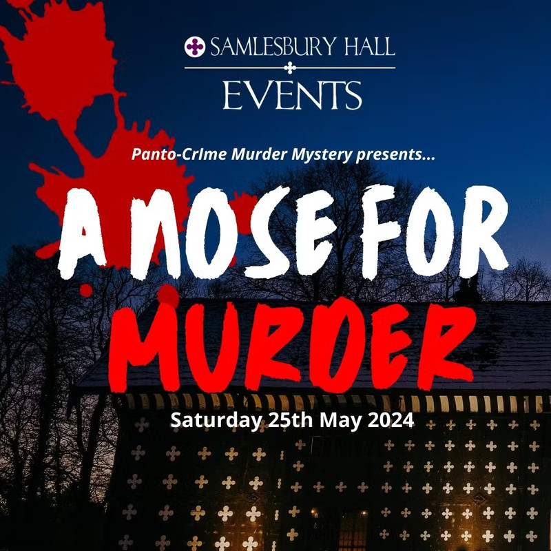 1728076-bba4d3e9-murder-mystery-dinner-evening-eflyer