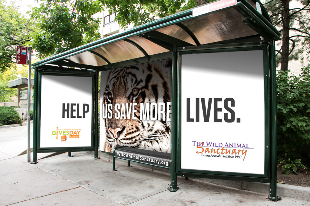 Transit Shelter ad Image header