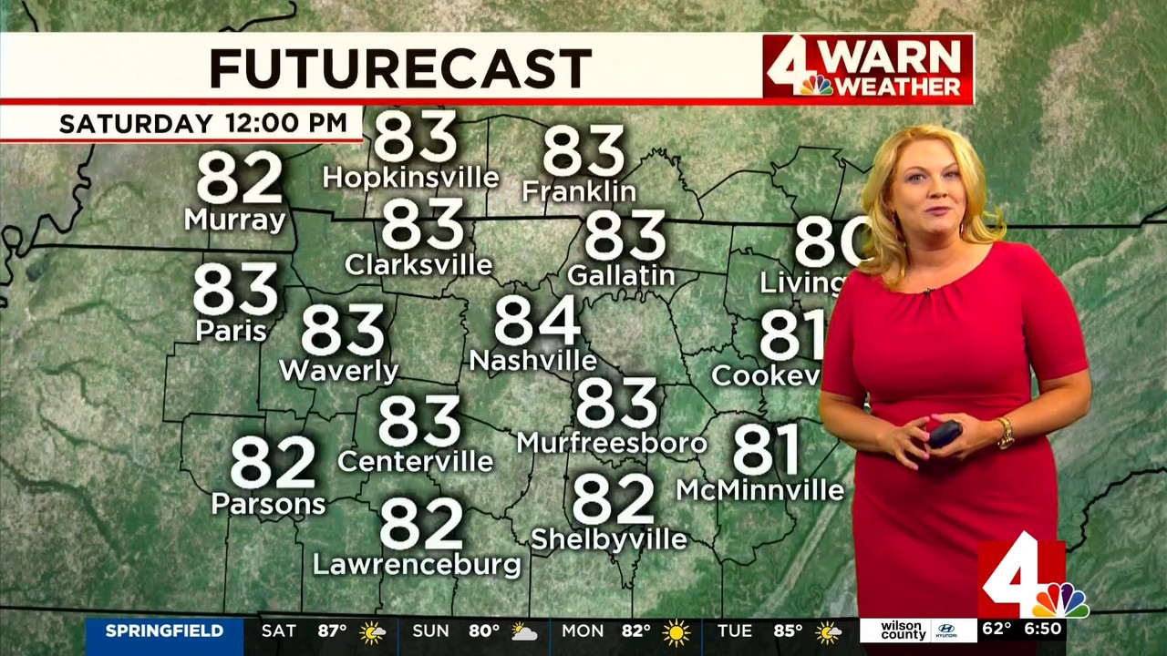 13 June - 12.00.00 - News 4 at 6 00 a.m. Saturday. 'News 4' covers even....ts_snapshot_00.53.41.318