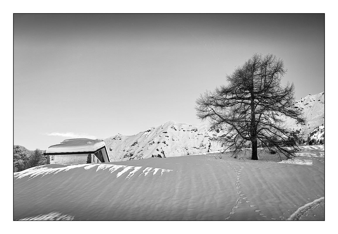 _P2M1886Photoshop