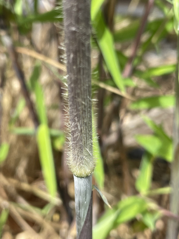 F369ACE5-1056-4055-9C47-29EE671A8DA4