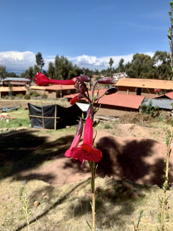 6F480DFE-29E9-4753-8450-8EA377CD6639