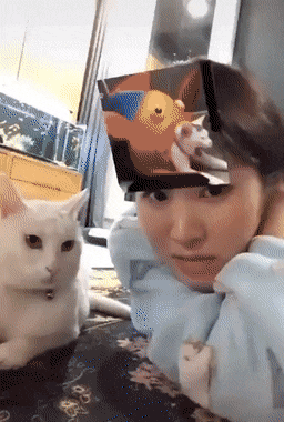 daily-gifdump-3388-27.gif