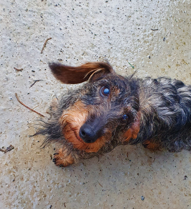 [Image: 20221116-094920.jpg]