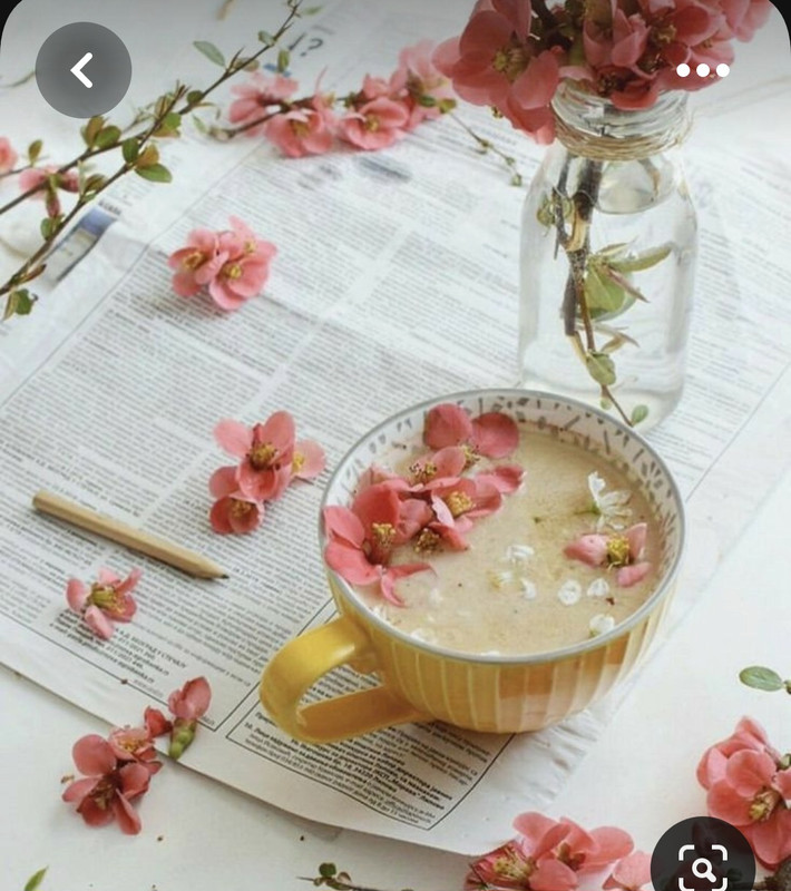 Screenshot_20230819_230952_Pinterest