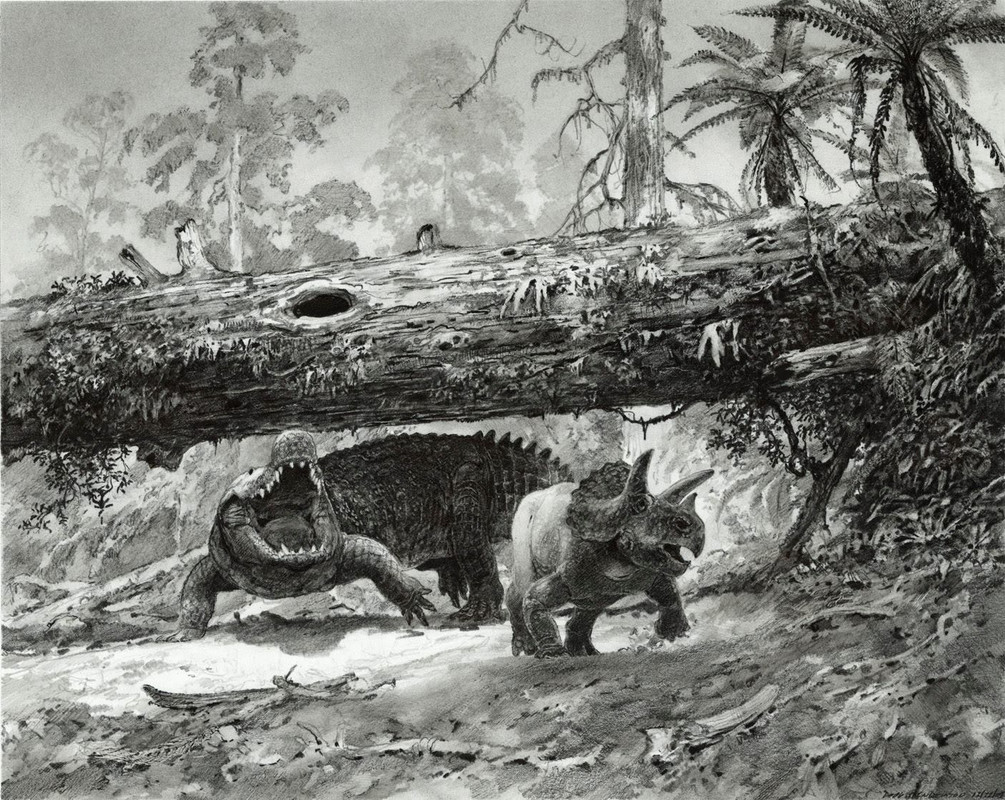 74e7a043f2383be0dd7201f761abfa2b