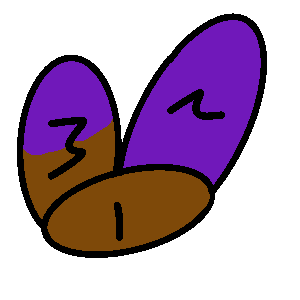 eggs  (20250515092136)