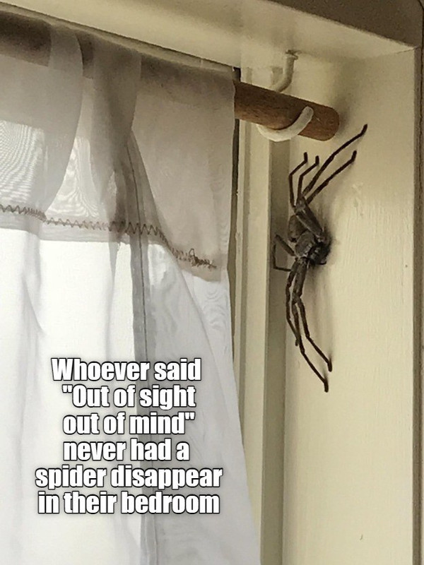im-never-going-into-my-bedroom-again