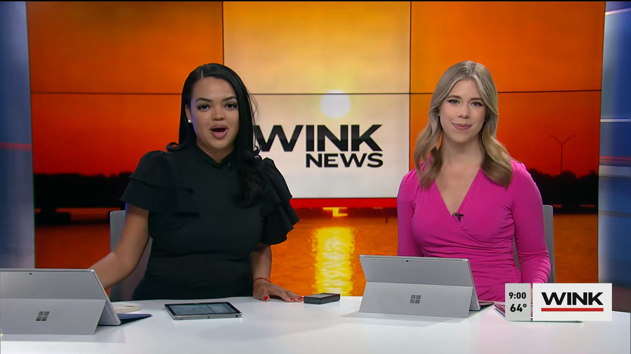 02.18 - 14.00.00 - WINK News at 9 00AM  ᴺᵉʷ. Morning news.ts_snapshot_00.07.01.982