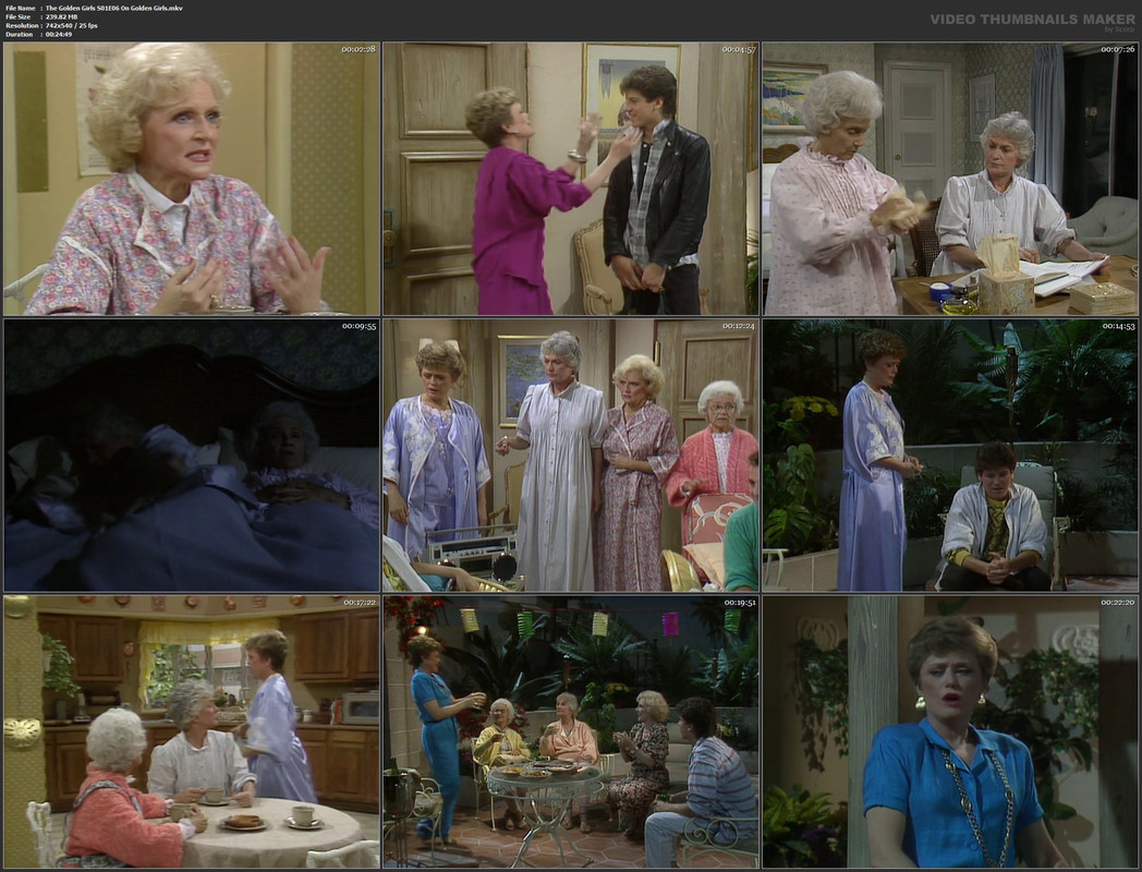 The Golden Girls S01E06 On Golden Girls.mkv