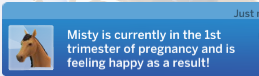 misty-is-in-1st-trimester.png
