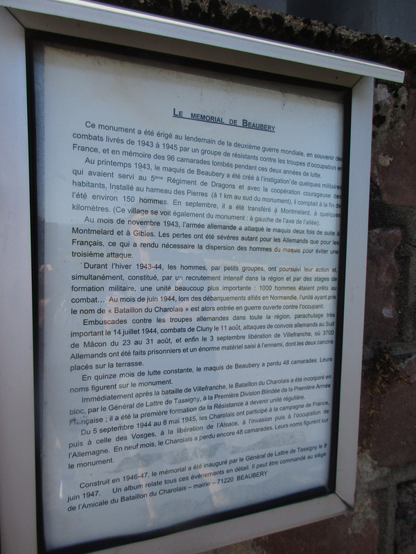 IMG 7648