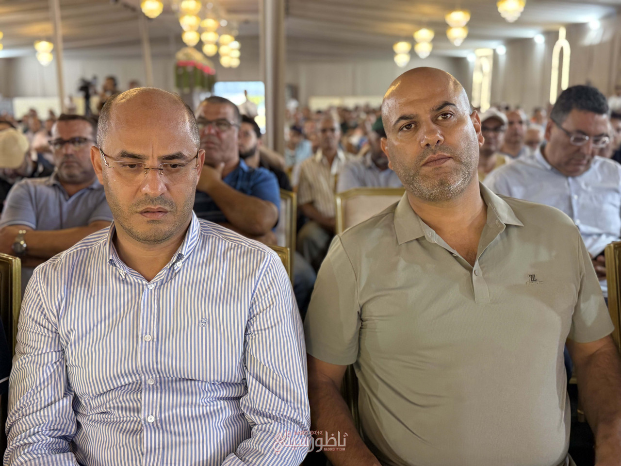 IMG-8771