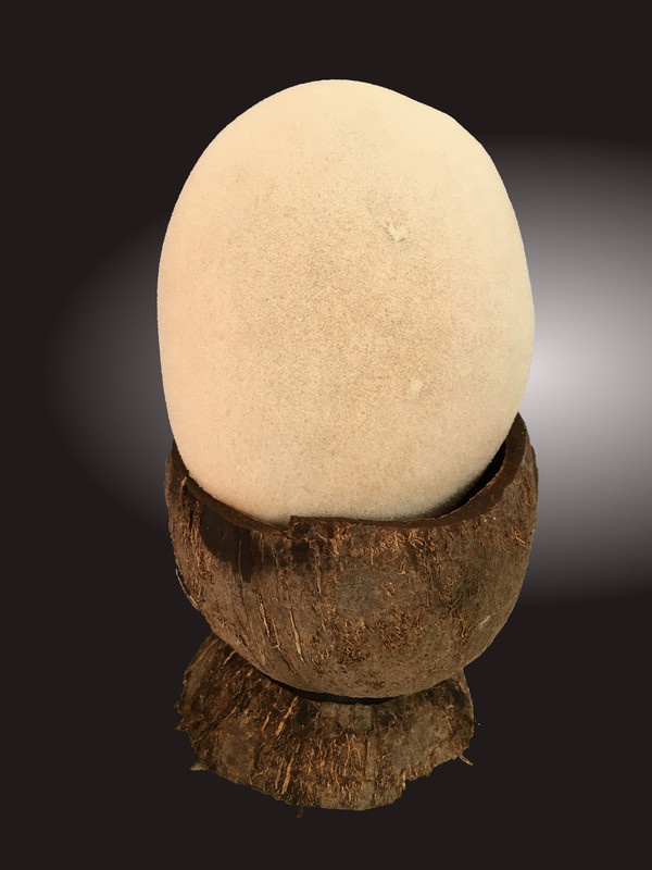 A - Que suis-je? version foncé