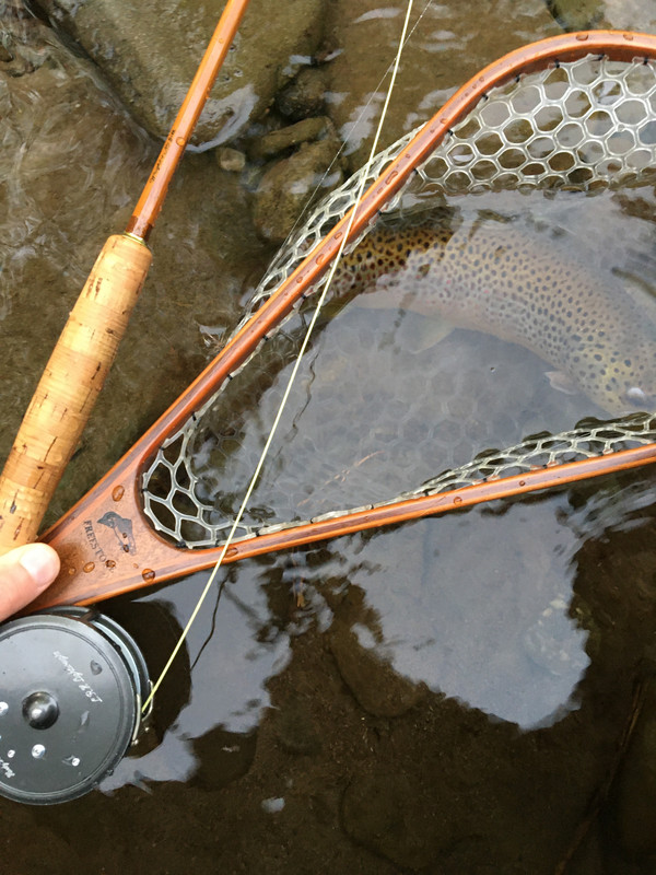 FE1EF8CE-4082-4C0F-ACDB-33E8346CC44A