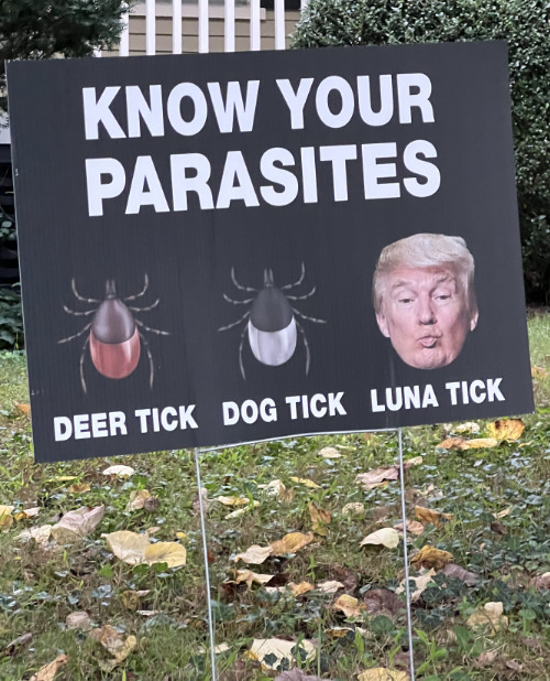 sign-luna-tick.jpg