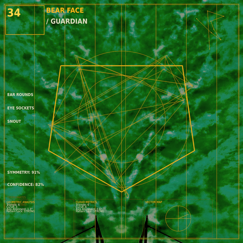 Bear face