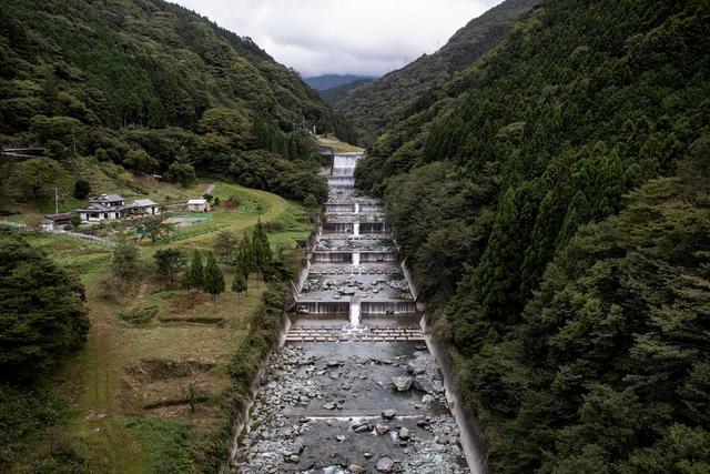 名顷四面环山,雪松环绕。
