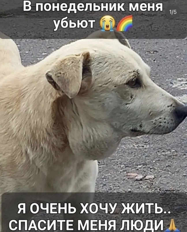 DA6EF15C-D2C4-4E4F-ADC7-6F9406B40BEE