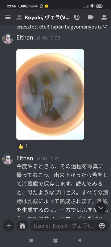 Kép