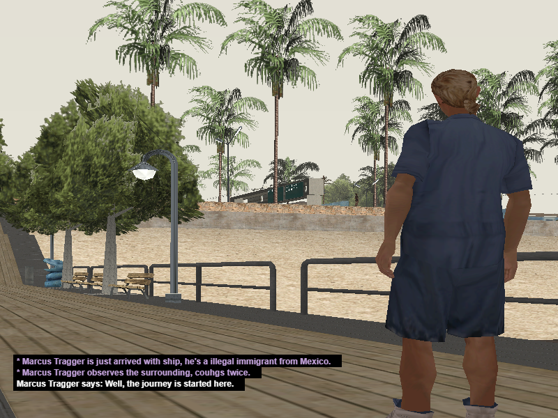 SS1.png