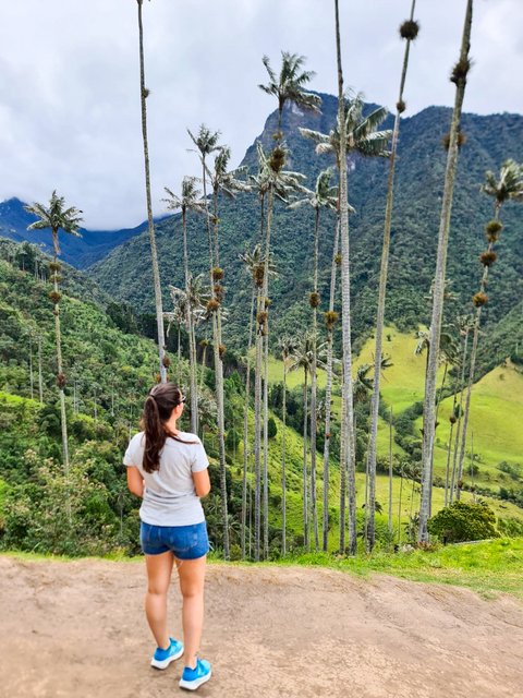 DIA 4: EL VALLE DE COCORA - Colombia y Curaçao Verano 2022 (14)
