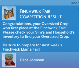 cece-won-1st-place-at-the-fair.png