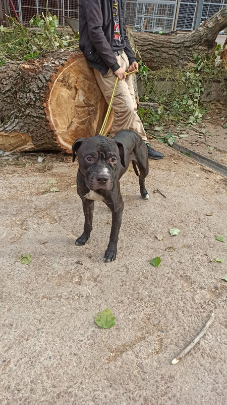 WhatsApp Image 2022-09-04 at 16.36.03 (1)