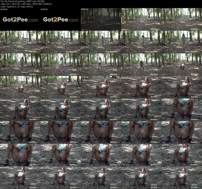 06_Pee-forest-gushing_1080P