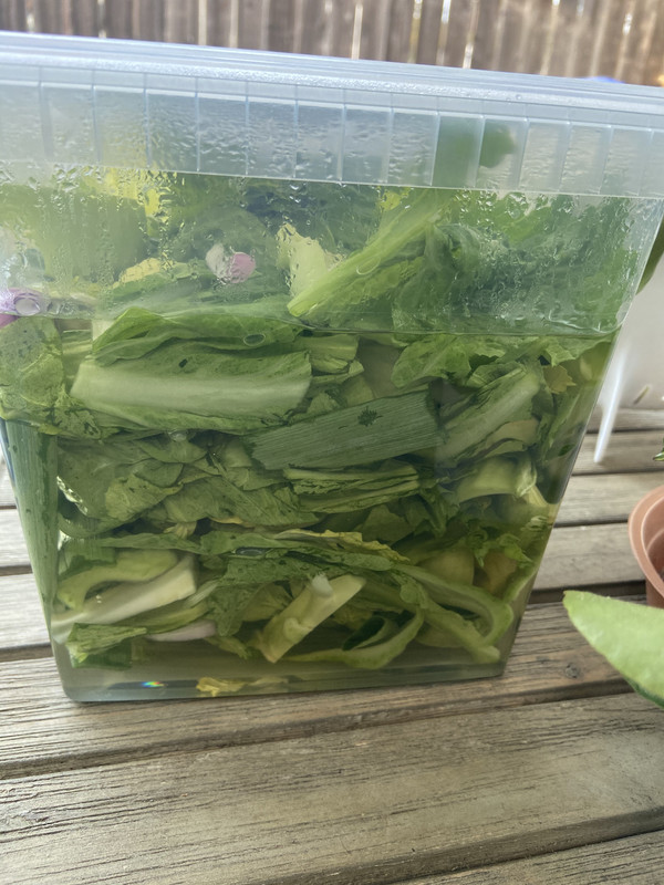 [Image: CA227-D8-B-1-E32-4873-8-C73-CD90-DB6-DF888.jpg]