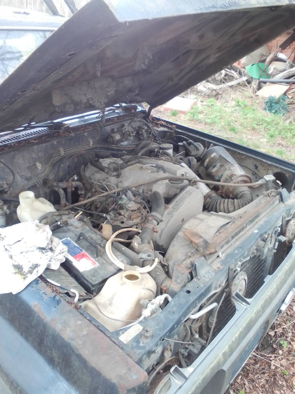 изображение_viber_2022-12-03_11-39-31-778