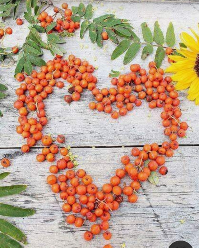 Screenshot_20240210_222827_Pinterest