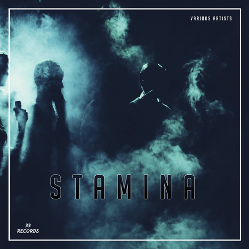 VA - Stamina (2020) mp3 320 Kbps