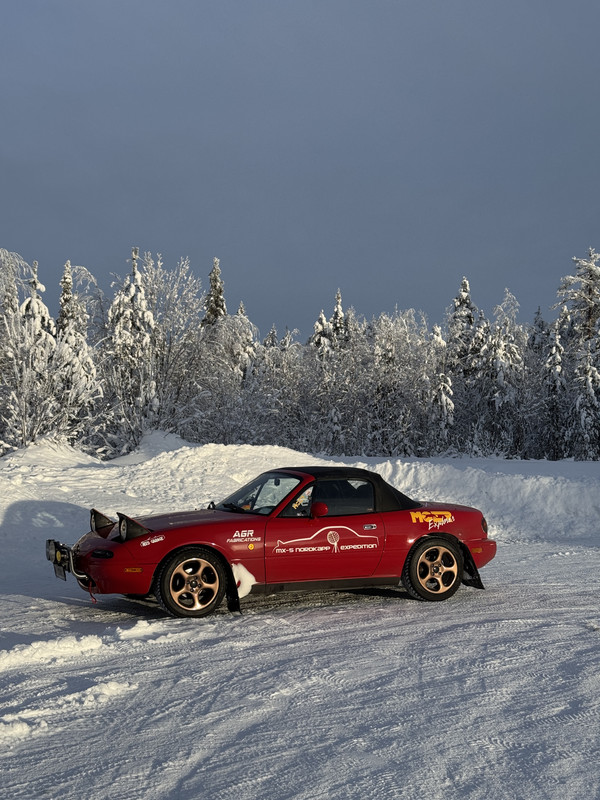 [Immagine: IMG_7586.jpg]