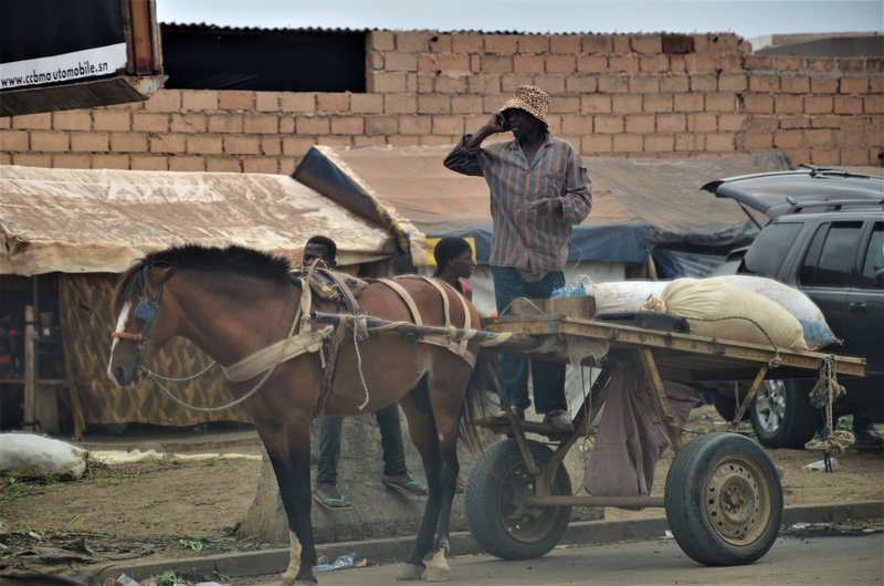 SENEGAL Y SUS PUEBLOS-2016 - Blogs de Senegal - DAKAR-3 y 4-8-2016 (64)