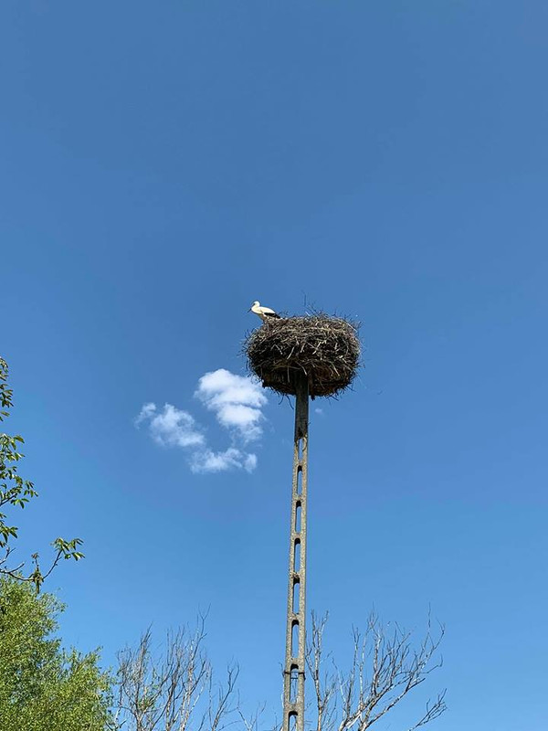 2019-04-21  Pákozdi gólyák  3