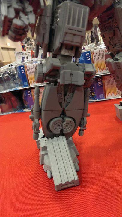 21470_10151776133951967_435708902_n