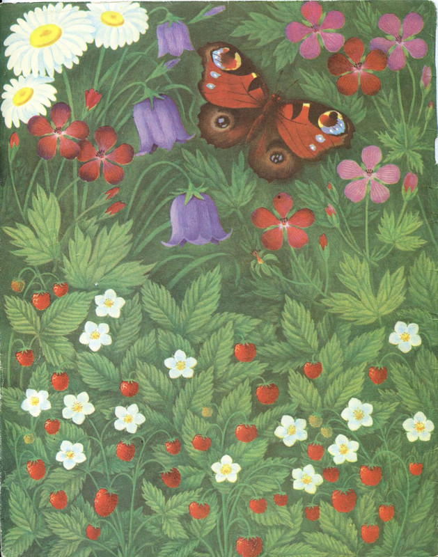 Mogilevskaja-Sofa-Sem-raznocvetnyh-skazok-1981-01