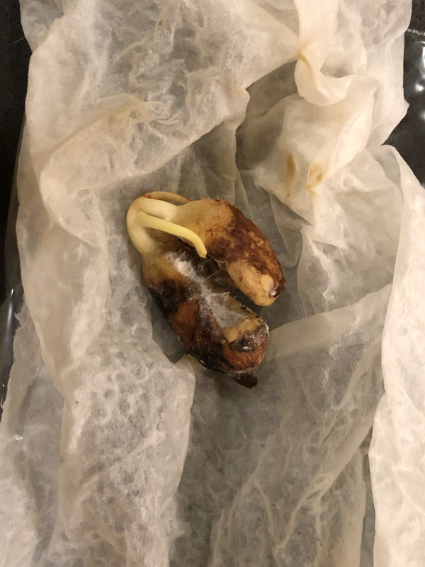 7479E130-DCC4-49DE-89A5-D4BACD234B27