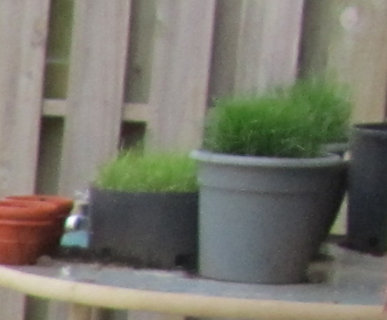 grass_pots_experiments_2