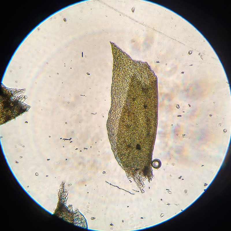 IMG 20250616 220023 HDR